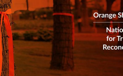 OSD_NDTR_VirtualBackground[1]