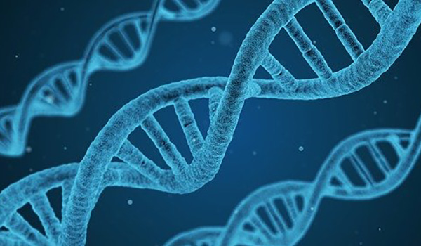 dna-1811955_600x350 Genetics