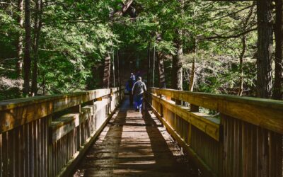 pexels-chris-f-1775391 pexels-chris-f-1775391