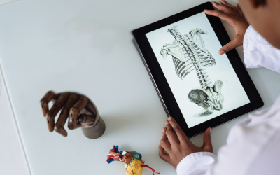 unrecognizable-african-american-scientist-studying-anatomy-3825539 unrecognizable-african-american-scientist-studying-anatomy-3825539